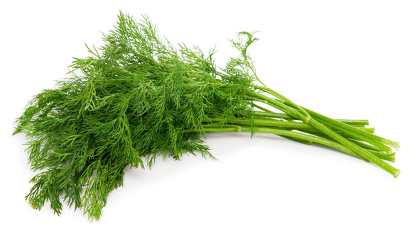 Dill Leaves - 1 Bunch