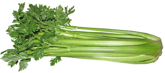 Celery - 1 Bunch