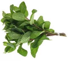 Mint Leaves - 1 Bunch