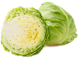 Cabbage - White - 1 Piece